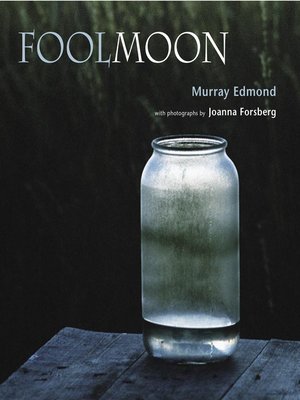 cover image of Fool Moon